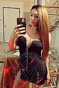 Campobasso Trans Escort Stella Dreams 389 16 86 605 foto selfie 64