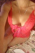 Belluno Trans Escort Ariana 329 20 48 454 foto selfie 11