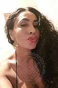 Francoforte Trans Escort Diana Sexy  00491787191374 foto selfie 1