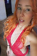 Assemini Trans Escort Sara Bambola 328 13 49 535 foto selfie 29