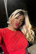 Modena Trav Escort Livia Marine 334 14 04 929 foto selfie 31