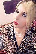 Catania Trans Escort Lady Giorgia 388 46 37 496 foto selfie 29