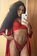Brescia Trans Escort Miele 328 42 56 421 foto selfie 59