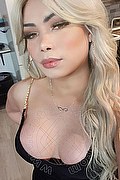 Treviso Trans Micaella Vayper 377 37 52 431 foto selfie 13