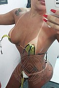 Pesaro Trans Escort Isadora Tavares 328 49 30 086 foto selfie 14