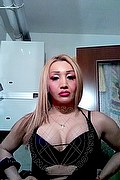 Roma Trans Escort Kimberli 349 65 42 726 foto selfie 11