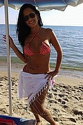 Wiesbaden Trans Escort Belinda  00491788513728 foto selfie 3