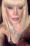 Milano Trans Nicole Vip Venturiny 353 35 38 868 foto selfie 585