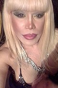 Milano Trans Escort Nicole Vip Venturiny 353 35 38 868 foto selfie 585