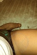 Garbagnate Milanese Trans Escort Alves 371 49 36 409 foto selfie 80