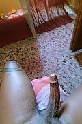 Garbagnate Milanese Trans Escort Alves 371 49 36 409 foto selfie 87