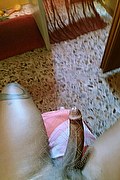 Garbagnate Milanese Trans Escort Alves 371 49 36 409 foto selfie 84