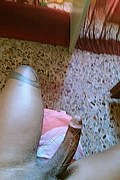Garbagnate Milanese Trans Escort Alves 371 49 36 409 foto selfie 83