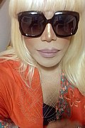 Milano Trans Escort Nicole Vip Venturiny 353 35 38 868 foto selfie 581