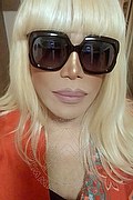 Milano Trans Escort Nicole Vip Venturiny 353 35 38 868 foto selfie 579