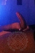 Alessandria Trans Pamela Trans Fitness 351 12 05 888 foto selfie 53