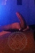 Alessandria Trans Escort Pamela Trans Fitness 351 12 05 888 foto selfie 56