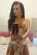 Alessandria Trans Escort Pamela Trans Fitness 351 12 05 888 foto selfie 41