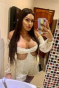 Gallarate Trans Escort Paulinha Ferraz 320 88 26 069 foto selfie 14