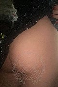 Milano Trans Escort Ally Costa 344 69 88 792 foto selfie 4