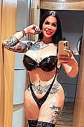 Amsterdam Trans Lissandra  0031645710434 foto selfie 11