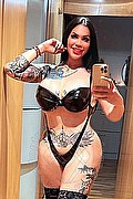 Amsterdam Trans Escort Lissandra  0031645710434 foto selfie 11