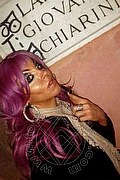 Cosenza Trans Angelica 329 97 11 770 foto selfie 30