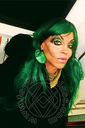 Cosenza Trans Angelica 329 97 11 770 foto selfie 19