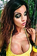Cosenza Trans Angelica 329 97 11 770 foto selfie 16