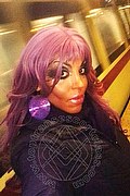 Cosenza Trans Escort Angelica 329 97 11 770 foto selfie 23