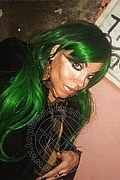 Cosenza Trans Escort Angelica 329 97 11 770 foto selfie 29