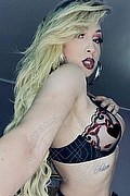 Carrara Trans Escort Jennifer Freitas 329 55 91 120 foto selfie 14