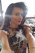 Alessandria Trans Escort Pamela Trans Fitness 351 12 05 888 foto selfie 34
