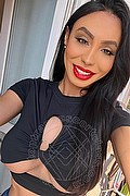Desenzano Del Garda Trans Escort Thayys Castro 329 72 89 046 foto selfie 31