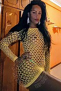 Roma Trans Pryscilla 379 14 66 730 foto selfie 30