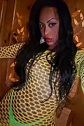 Roma Trans Escort Pryscilla 379 14 66 730 foto selfie 31