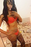 Roma Trans Escort Pryscilla 379 14 66 730 foto selfie 43
