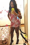 Roma Trans Pryscilla 379 14 66 730 foto selfie 11