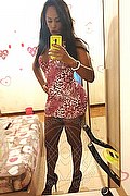 Roma Trans Escort Pryscilla 379 14 66 730 foto selfie 11