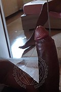 Roma Trans Escort Pryscilla 379 14 66 730 foto selfie 59