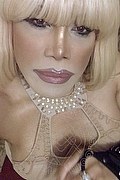Milano Trans Nicole Vip Venturiny 353 35 38 868 foto selfie 539