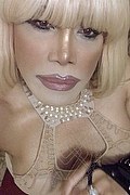 Milano Trans Escort Nicole Vip Venturiny 353 35 38 868 foto selfie 539