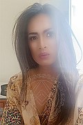 Pero Trans Escort Bea Trans Asiatica 327 72 16 310 foto selfie 8