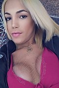 Milano Trans Escort Sofia Rabello 338 17 73 609 foto selfie 27