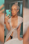 Milano Trans Escort Sofia Rabello 338 17 73 609 foto selfie 15
