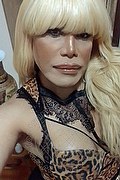 Milano Trans Escort Nicole Vip Venturiny 353 35 38 868 foto selfie 532