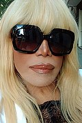 Milano Trans Escort Nicole Vip Venturiny 353 35 38 868 foto selfie 536
