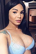 Novara Trans Ana Paola Tx 351 17 11 668 foto selfie 16