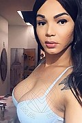 Novara Trans Ana Paola Tx 351 17 11 668 foto selfie 17