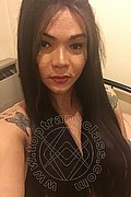 Novara Trans Ana Paola Tx 351 17 11 668 foto selfie 20